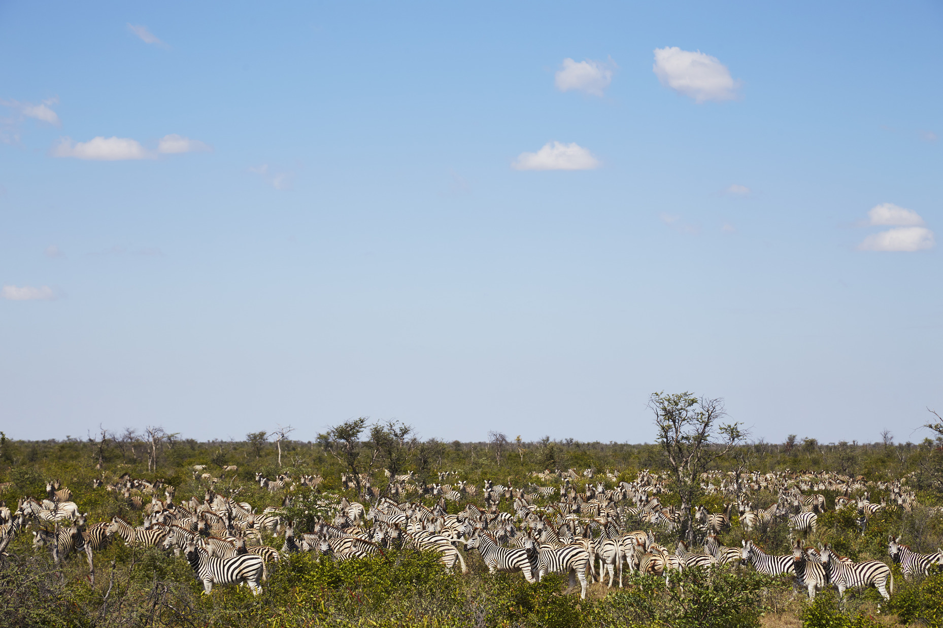 Kalahari in Kimberley